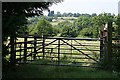 Double Gate and Valleyside Fields