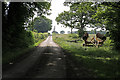 Footpath and drive to Dogdean Farm, nr, Homington