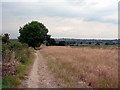 Footpath, Crigglestone