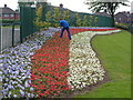 Patriotic flower-bed, Wolstanton Marsh