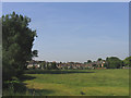 Newport Pagnell from Great Ouse meadows