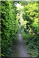 Footpath from Bouverie Avenue to Old Blandford Road, Salisbury