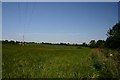 Fields near Waldegrave Farm