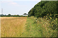 Public Footpath near Cotgrave, Nottinghamshire