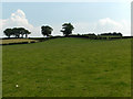 Farmland near Cotehill