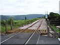 Sandway Crossing, Tamar Valley Railway