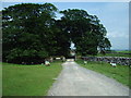 The Road to Blasterfield Farm