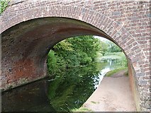 ST0414 : Holbrooke Bridge, Grand Western Canal by Penny Mayes