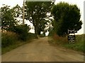 Approach to Dancing Dicks Farm, near Witham, Essex