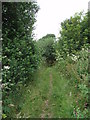 SW6331 : Footpath near Nancegollan by Sheila Russell