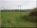 SW6735 : Fields and power lines near Burras by Sheila Russell
