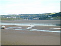 St Dogmaels from Gwbert across the River Teifi