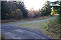 Forestry barrier at road junction