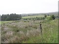 Owenreagh Townland