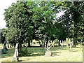 The Graveyard of Bubwith Parish Church