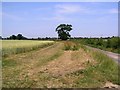 Concessionary path, near Catfield