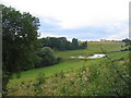 View over the hedge near Horley