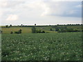 View from the footpath to Ratley