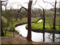 River at Dibbinsdale Nature Reserve