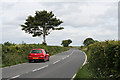 Beaworthy: the A3079 road