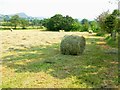 Hay bales near Meerbrook