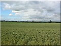 View towards Topcliffe Industrial Estate