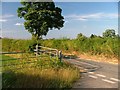 Road Junction, Picton Manor Road