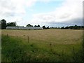 Greenhouses near Dalton