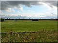 Topcliffe Industrial Estate from the North