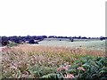 Tadsor Farm on Pistern Hill