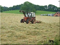 SJ9238 : Haymaking near Berry Hill Farm by Oliver Dixon