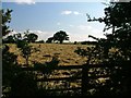 Drying Hay, Staindale Hill Lane