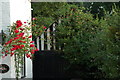 Honeysuckle covered garage and roses on the cottage.