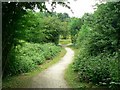 SE3069 : Footpath, Quarry Moor nature reserve, Ripon by Rich Tea