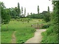 Quarry Moor nature reserve, Ripon