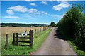 Bridleway to Withy Cottage