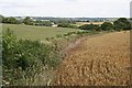 Two Grain Fields and a Shallow Valley