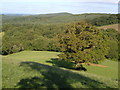 Shuttern Brook valley