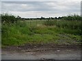 Road, verge, entrance, gate and field.