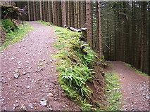 NN1789 : Hairpin Bend on Forest Path, Gleann Cia-Aig by Iain Thompson