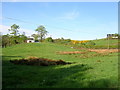 Field Near Denny