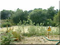 Quarry Pool