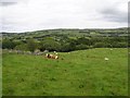 Altishane Townland