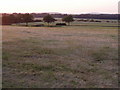 Fields west of Duncton village