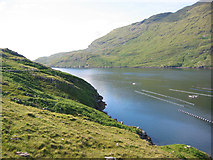 L7864 : View north west up Killary Harbour by Espresso Addict