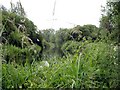 River Itchen at Winnall Moors