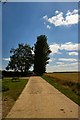 Track to Appleacre Farm