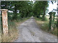 Gateposts and Avenue