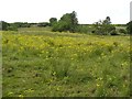 Crouck Townland