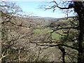 Cwm Gwaun, view towards the Preselis